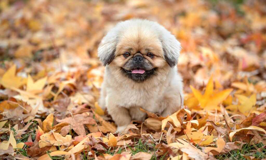 離乳食宅配でコスパ最強のサービスはどれ？