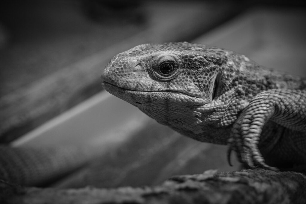 ミールキットを使った離乳食のメリットとは？