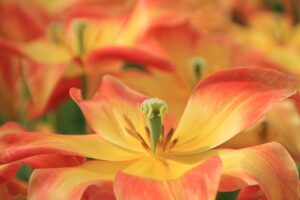 保育園送迎代行の口コミはどこで確認できる？