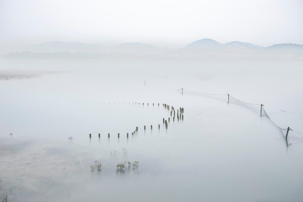 ネットスーパーのポイント比較で得られるお得な活用法は？