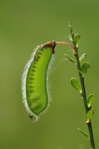 ミールキットサブスクは何人家族向きなのか？