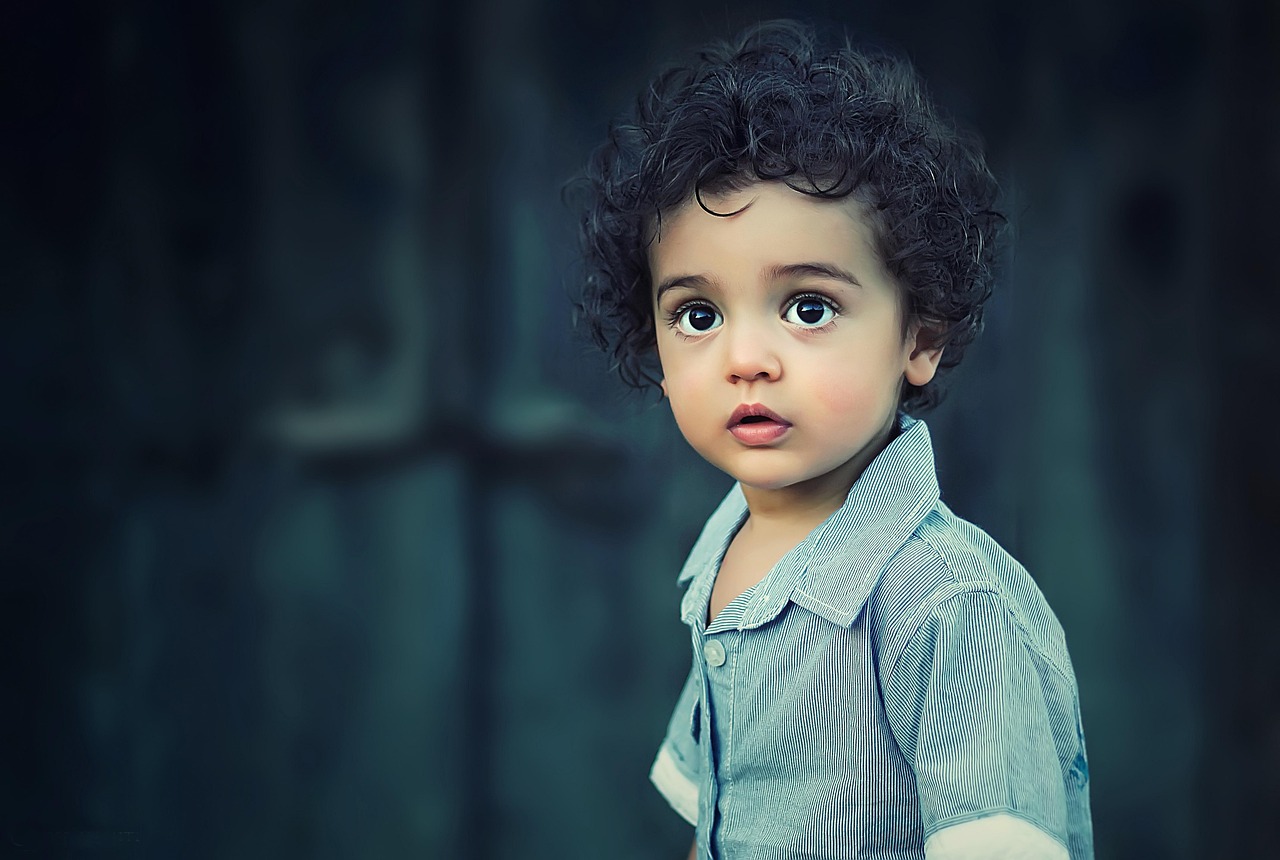 子供向けのミールキットはどれがおすすめ？
