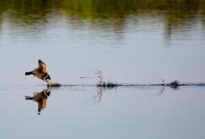 ベビーシッターを格安で時間単位で利用したい方の口コミは？