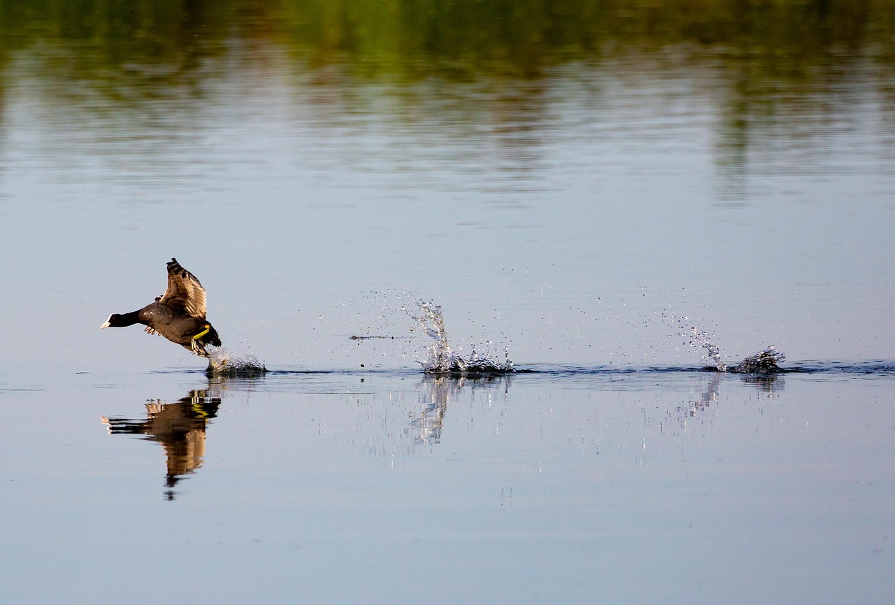 ベビーシッターを格安で時間単位で利用したい方の口コミは？