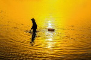 ミールキットを使った時短料理は何分でできる？