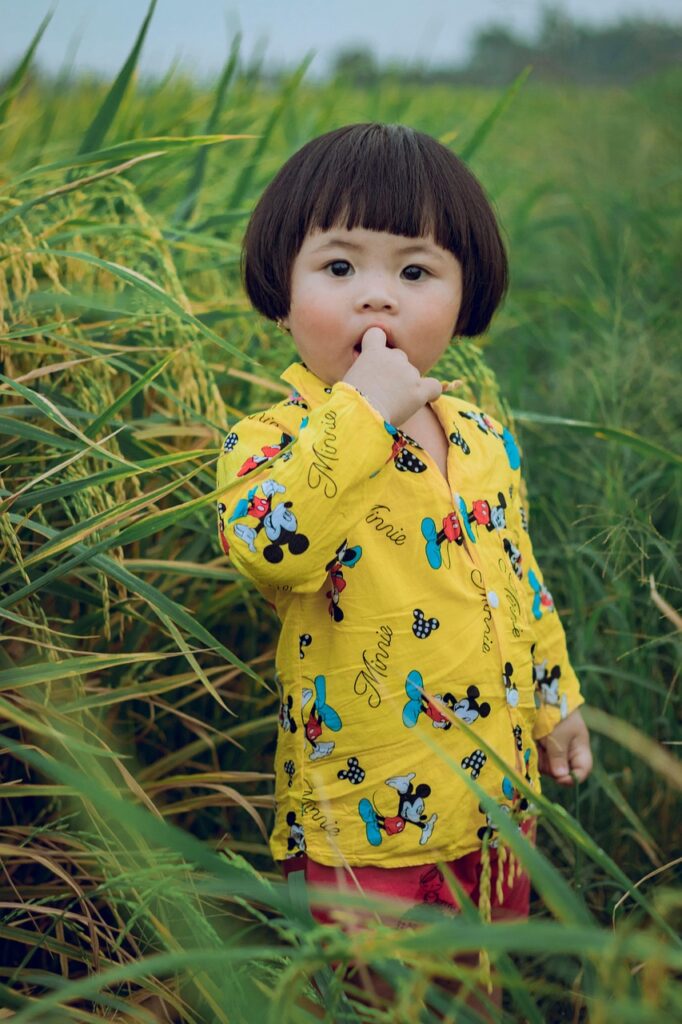 幼児食の冷凍宅配価格改定は2026年にどう変わる？