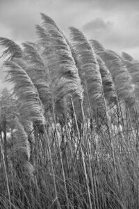 習い事の送迎代行に関する口コミやトラブルはどのようなものがある？