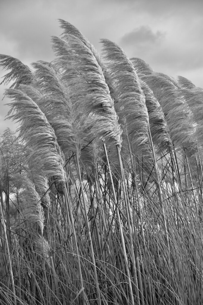 習い事の送迎代行に関する口コミやトラブルはどのようなものがある？