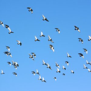 家事代行を留守中に依頼する際の注意点は？
